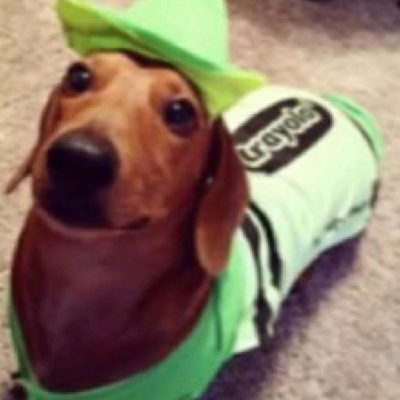 Meet your Posher, Stacy - Picture 1 of 1